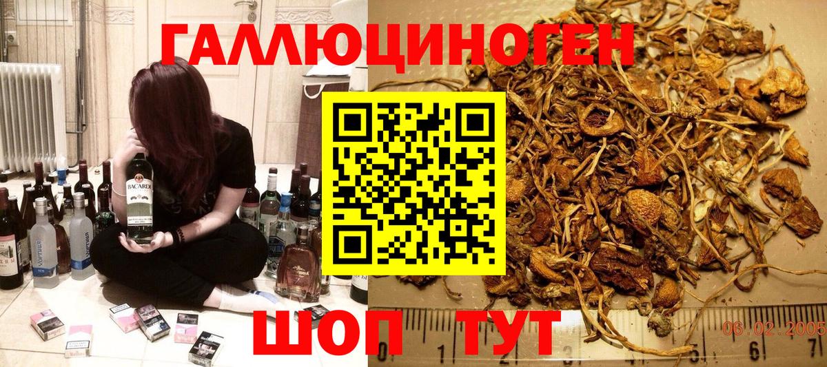 Галлюциногенные грибы мицелий  Вход с VPN  Сосновоборск 
