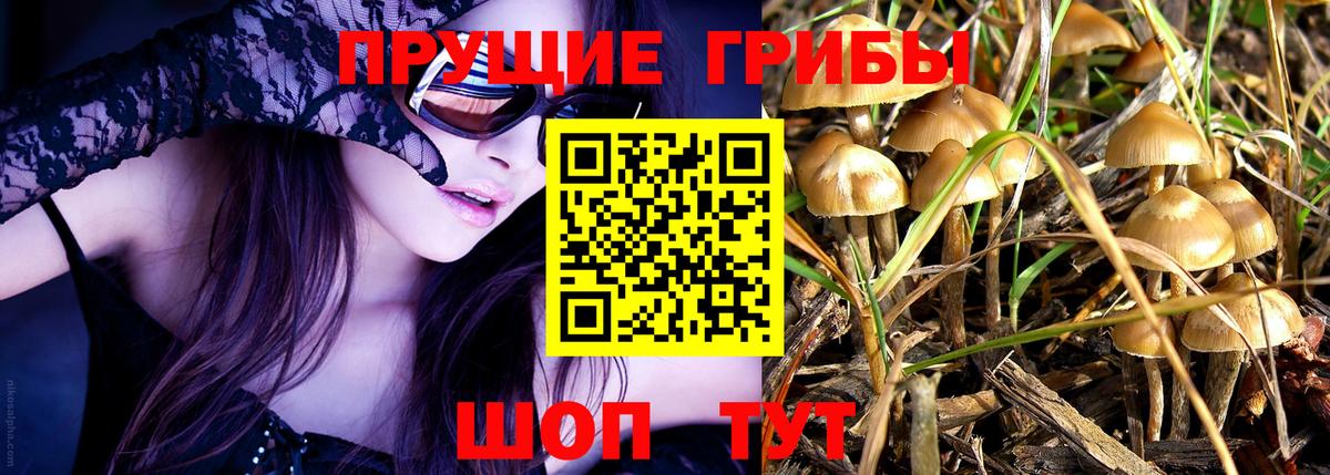 Псилоцибиновые грибы ЛСД Сосновоборск